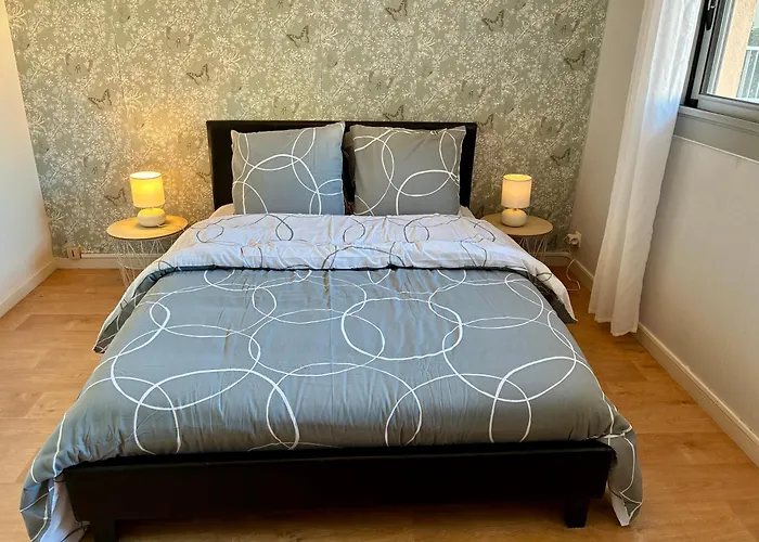 Centre Coeur Proche Thermes Et Bords Allier *